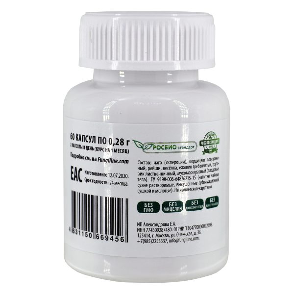 Онкология: терминальная поддержка, состав