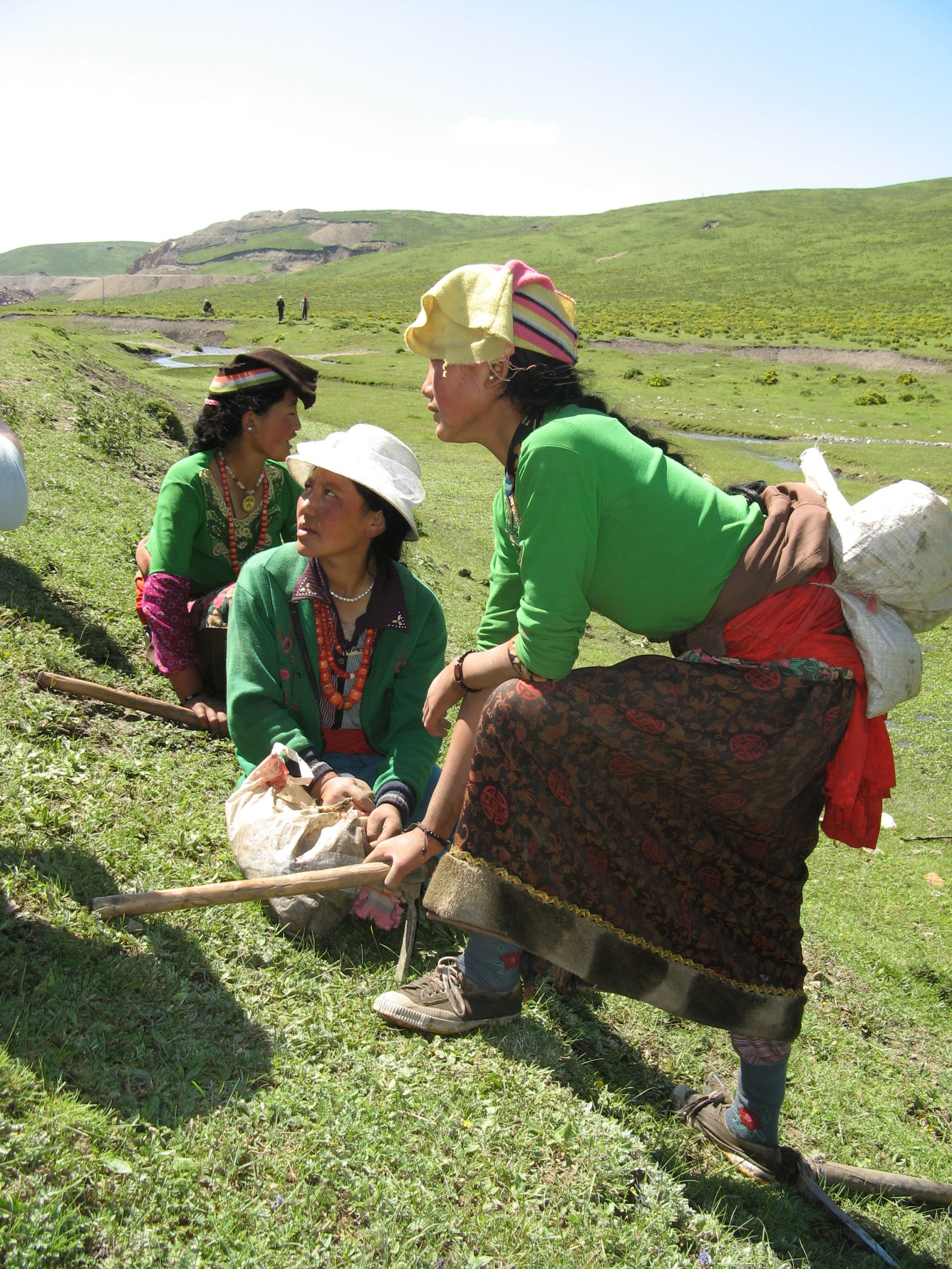 Михаил Вишневский приглашает в экспедицию за дикорастущим кордицепсом в Непал (18-29 мая).