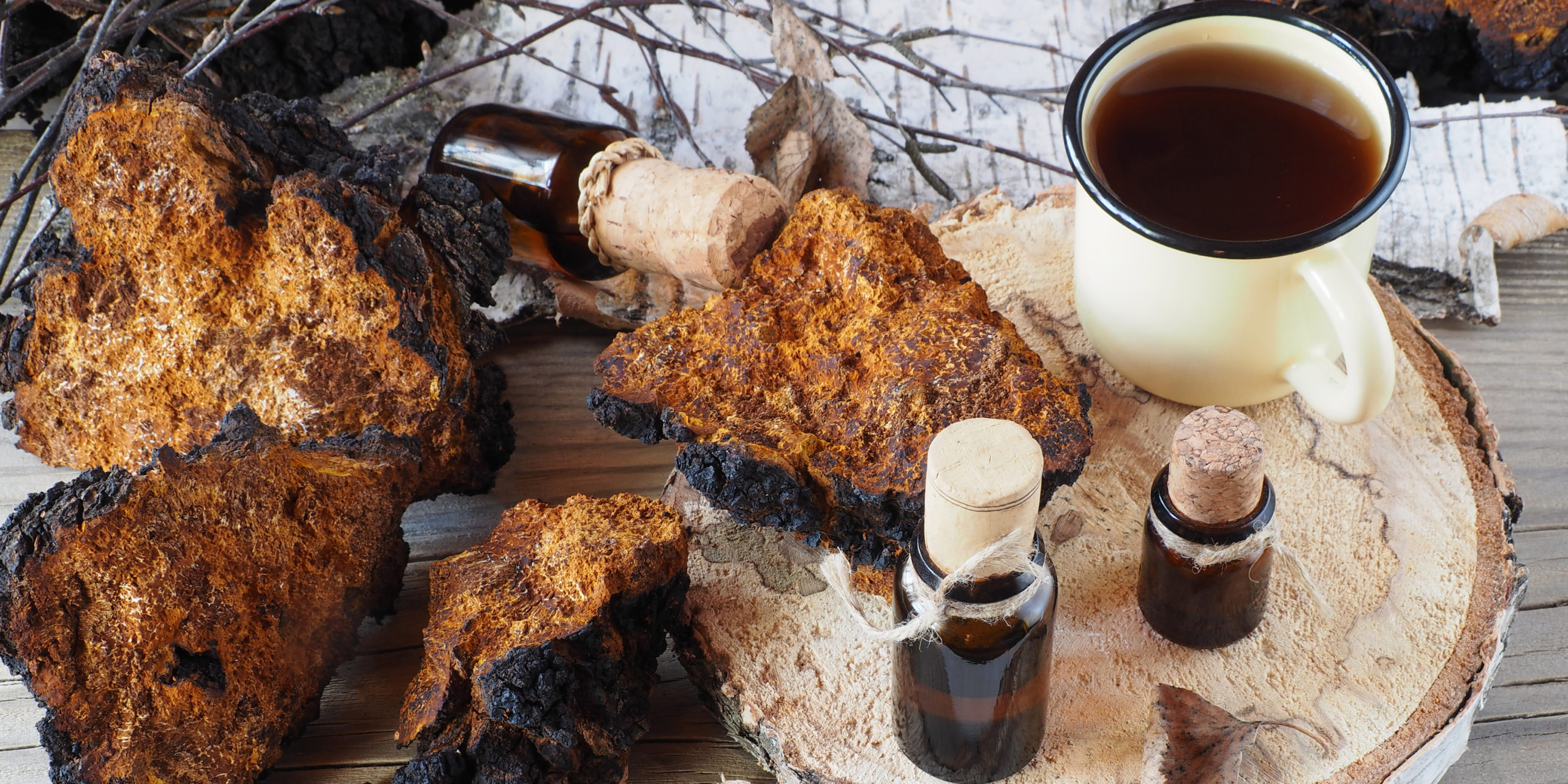 адаптогены 1