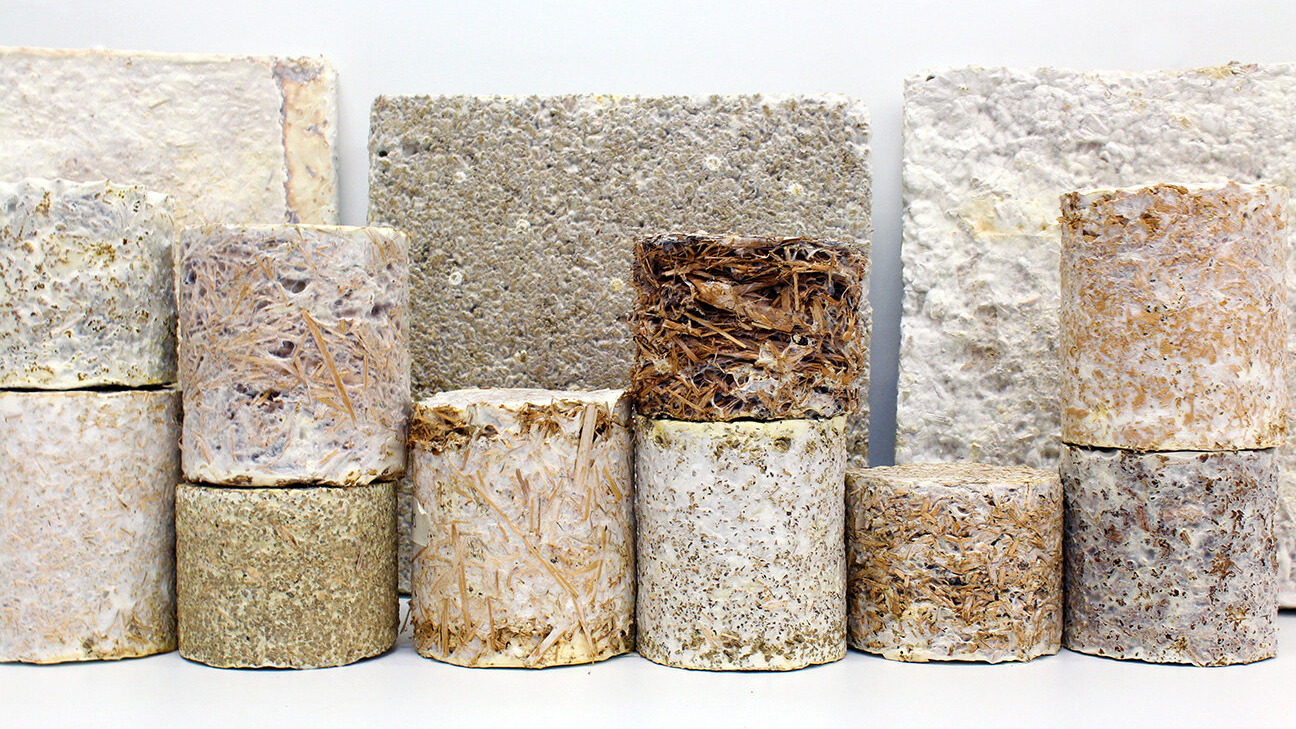 грибные стройматериалы 1