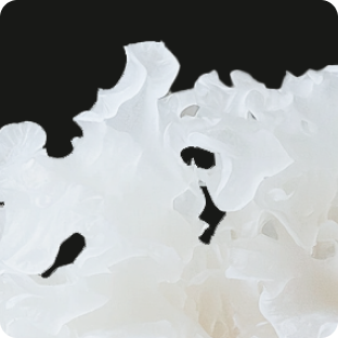 Пищеварение