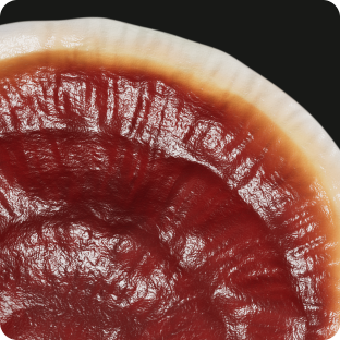 Спокойствие и сон